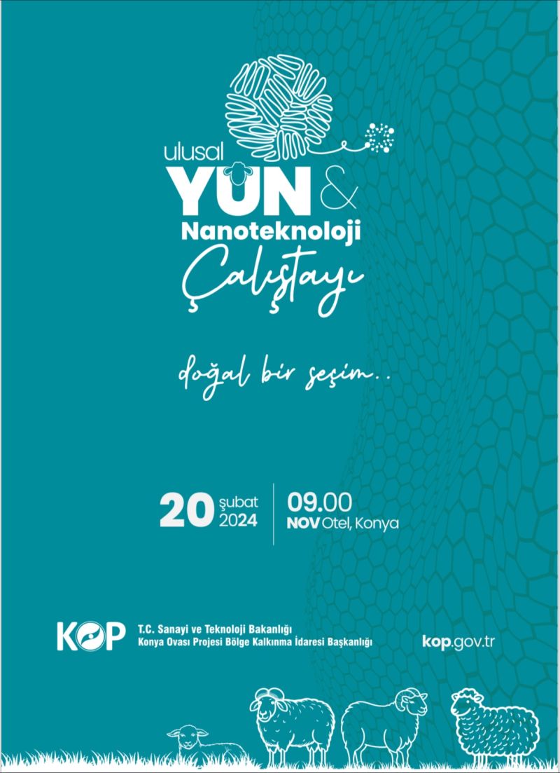 Ulusal Yün ve Nanoteknoloji Çalıştayı